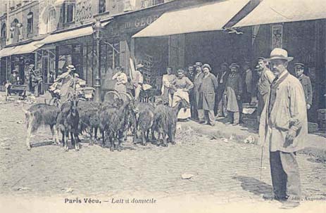 carte postale ancienne